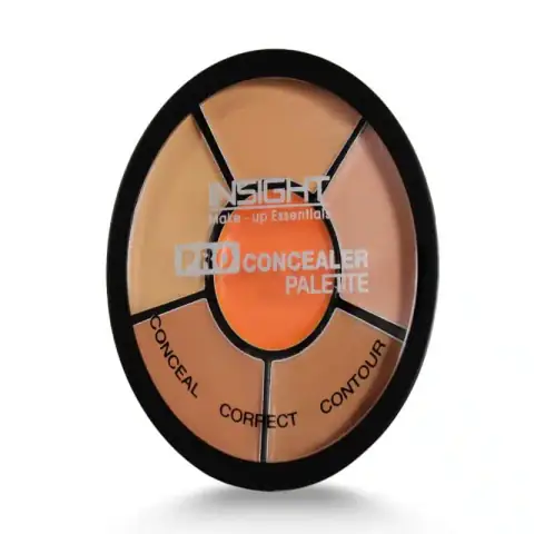 Insight Pro Concealer Palette, closed black compact, showcasing brand logo on front cover.